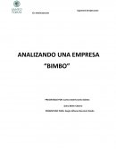 ANALIZANDO UNA EMPRESA “BIMBO”