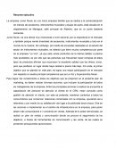 Plan de marketing Junior Music