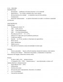 PSICOSIS. Esquizofrenia