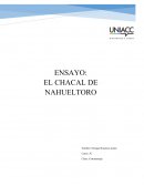 Analisis Chacal de Nahuel Toro