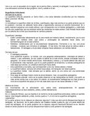 Articulacion tobillo