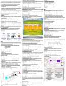 INTELIGENCIA DE NEGOCIOS, PROCESO