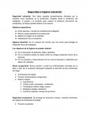 Seguridad y salud ocupacional ingenieria