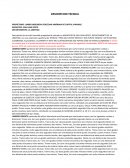 DESCRIPCION TECNICA REMEDICION JARDINES DE OPICO