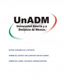 BIOQUIMICA DE LA NUTRICION