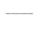 Practica 2: Determinacion Gravimetrica de Niquel