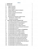 CENSO EMPRESARIAL DE CAMIRI - SANTA CRUZ - BOLIVIA