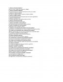 ¿Qué es el derecho objetivo?