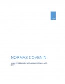 Nº39 CALZADO DE SEGURIDAD DESCRIPCIÓN Y CARACTERÍSTICAS