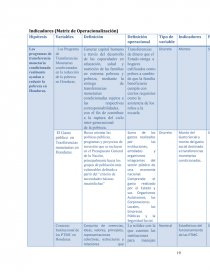 EVALUACIÓN DEL IMPACTO DE LOS PROGRAMAS DE TRANSFERENCIA MONETARIA CONDICIONADA EN LA REDUCCIÓN DE LA POBREZA EN HONDURAS (2009-2013). Página 19