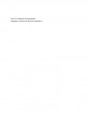 Evaluación del desempeño.Efecto Pigmaleon