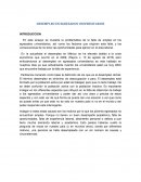 Desempleo en jóvenes universitarios