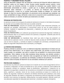 FUENTES Y FUNDAMENTOS DEL PELIGRO