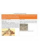 CUADRO SINÓPTICO ARTE MESOPOTÁMICO