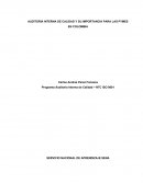 AUDITORIA INTERNA Y SU IMPORTANCIA EN LAS PYMES DE COLOMBIA