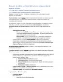 El análisis territorial del turismo: componentes del espacio turístico