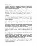 FODA, Estrategia de negocio