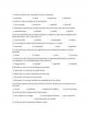 Examen FCYE segundo año s/r