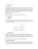 Ciclo de vida de un producto. Estrategia de penetración rápida