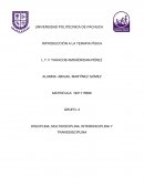 DISCIPLINA, MULTIDISCIPLINA, INTERDISCIPLINA Y TRANSDISCIPLINA