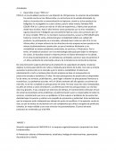 Desarrollar el caso “PEN S.A.”