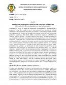 Ensayo sobre mutacion en vacas holstein