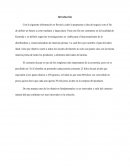 Como formular un proyecto de vida