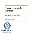 Desarrollo Local Y Economía Naranja