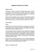 Ensayo del libro LA VACA