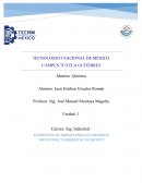 ELEMENTOS DE IMPORTANCIA ECONOMICA, INDUSTRIAL Y AMBIENTAL EN MÉXICO