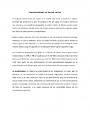 SALARIO MÍNIMO VS PIB PER CAPITA