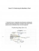 Marketing Engenering BlackBerry