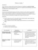 Profundizacion de los aprendizajes