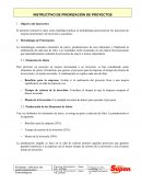 Instructivo Priorización de Proyectos