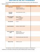 REPORTE DE ACTIVIDADES