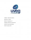 MERCADO META Leche LALA