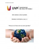 PLAN DE NEGOCIOS DE FRINDLY-SISTEMS