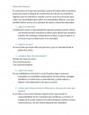 Construcción de conocimiento