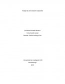 Construcción del concepto de comunicación pública