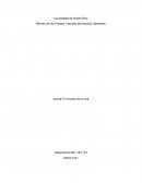 Aroma: El encanto de la vida