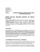 MODELO DE DEMANDA DE SEPARACIÓN DE HECHO