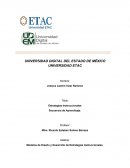 Modelos de Diseño y Desarrollo de Estrategias Instruccionales . Educación Virtual