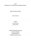 Importancia de la lubricacion en el manteniemitno industrial