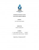 Derecho constitucional. Derechos Fundamentales