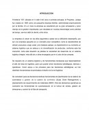 DIAGNÓSTICO LOGÍSTICO MERCADOLÓGICO