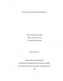 ENSAYO: MONTAGAS SURTIMOS BIENESTAR