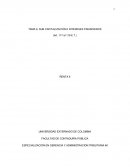 SUB CAPITALIZACIÓN E INTERESES FINANCIEROS