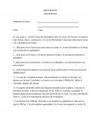 Guía de Ejercicios Leyes de Newton
