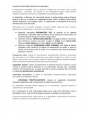 Fundametos de la motricidad