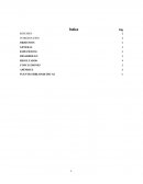 INFORME SOBRE SALUD SEXUAL Y REPRODUCTIVA